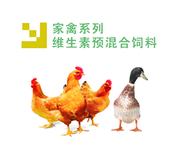 家禽系列 維生素預混合飼料